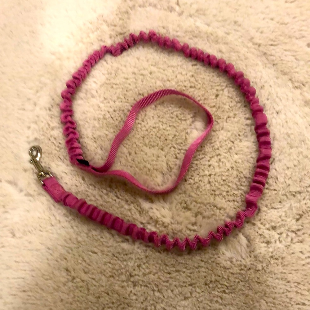 Pink Small Dog leash, bungee style.